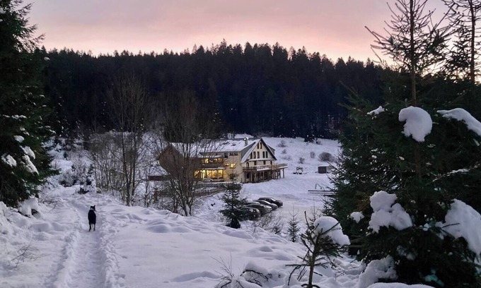 Ban-sur-Meurthe-Clefcy Apartment | Le Perchoir 9 people, Grand Valtin, full nature