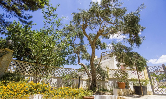 Marsala House | Le Saline