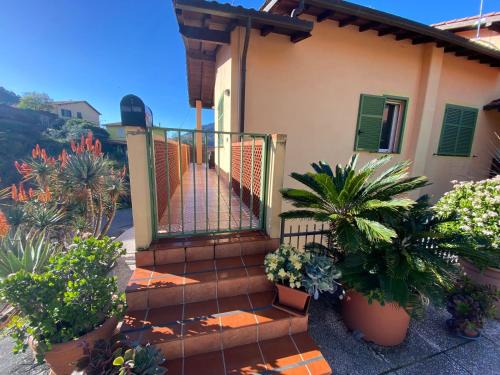 Trucco House | LEMON House