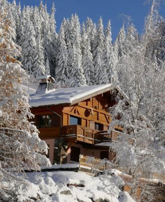 Les Saisies Apartment | Les Saisies côté Bisanne appartement dans chalet LE Népal