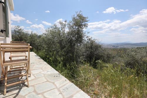 Volos Apartment | Little house in the olive grove