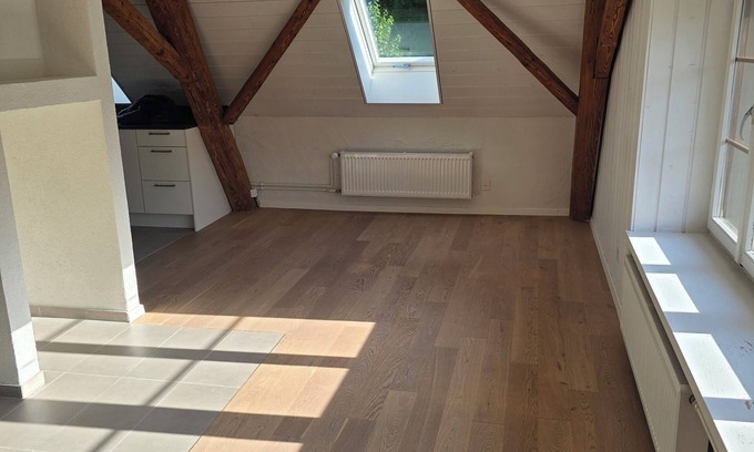 Teufenthal Apartment | Little Nest - Nature & tranquillity between lakes & castles
