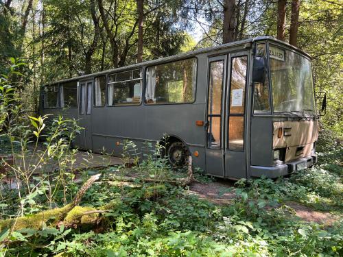 Liptovsky Jan Other | Magicbus