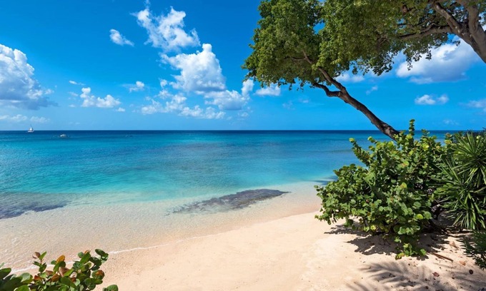 Old Trees Bay House | Mahogany Bay by Blue Sky Luxury