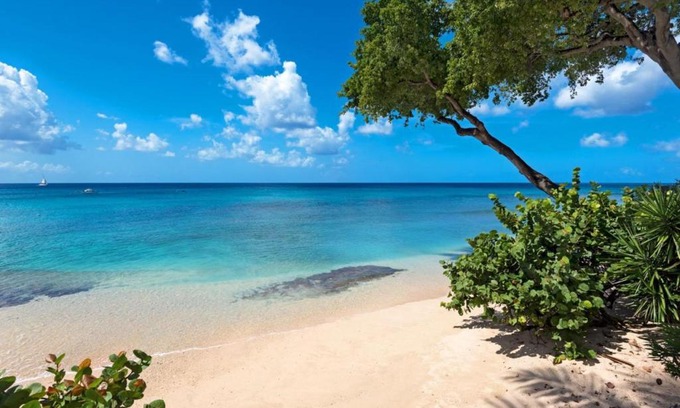 Old Trees Bay House | Mahogany Bay by Blue Sky Luxury