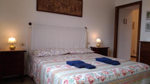 Pisa House | Maison Cisanello