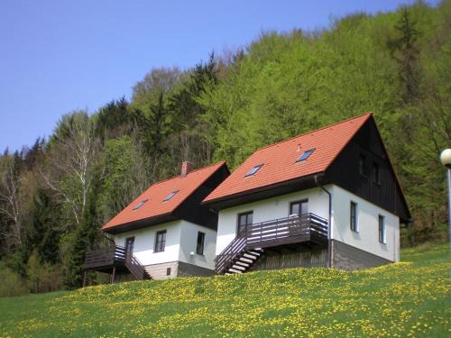 Starkov House | Mansion in Starkov with shared pool