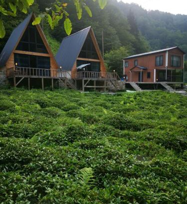 Ayder Villa | MARİPOSA LUXURY HOUSE