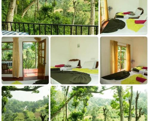 Ella Hotel | Mars Wonderland View