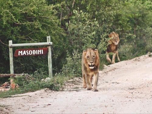 Maruleng Cabin | Masodini Game Lodge