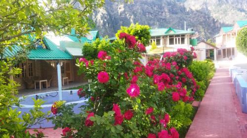 Kullu Hotel | Mateura resort
