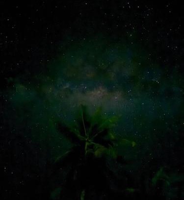 Maupiti Other | Maupiti Bambou Camping