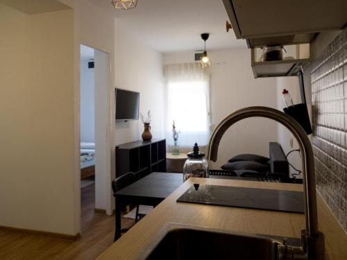 Timisoara Apartment | MDC Apartments