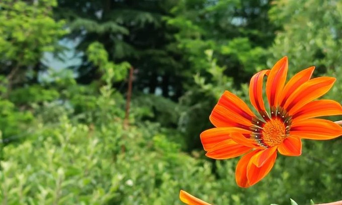 Naggar House | Meemaw's MoonPi