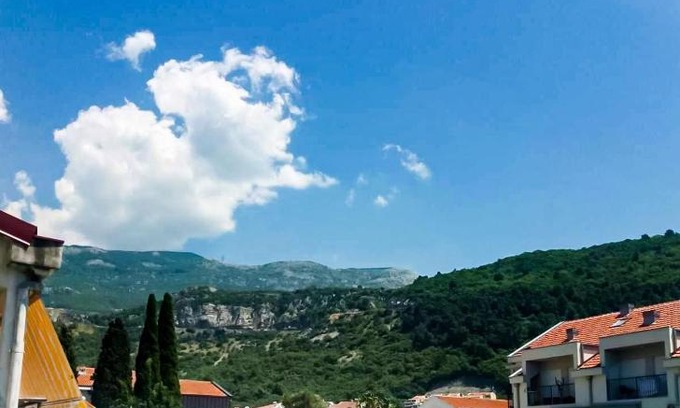 Velji Vinogradi Apartment | Mirko Apartments Budva