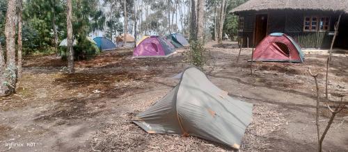Musanze Other | Mist Rwanda Stay Inn