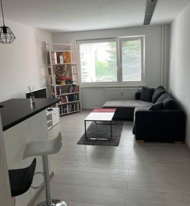 Liptovsky Mikulas Apartment | Moderný apartmán Podbreziny