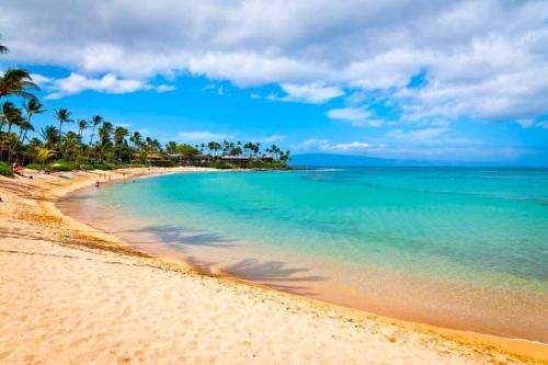Napili House | Modern Beautiful 1BR Napili Bay Get-Away Condo