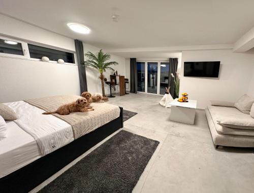 Komarna Apartment | Modern Unit with Ocean View