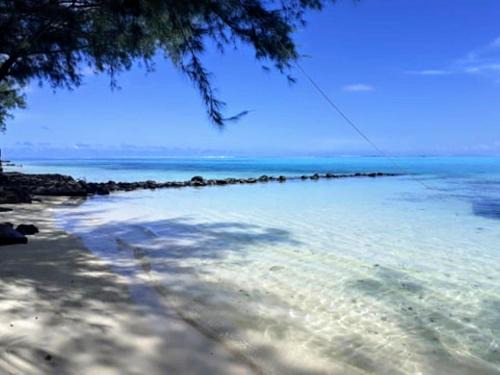 Moorea-Maiao House | MOOREA - Local Spirit 6