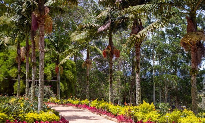 Rionegro Hotel | Mountains of Hope