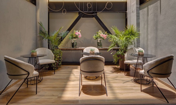 Colonia Cuauhtemoc Apartment | MX Grand Suites