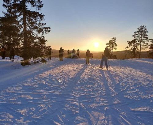 Borlange Cabin | Myntloftet med inglasad bubbelbad