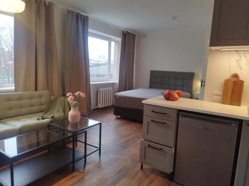 Pelguranna Apartment | MYROOM-2 near the center and the Stroomi beach