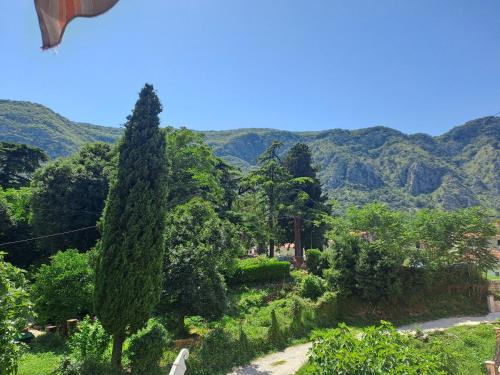 Skaljari Apartment | N&B Apartment Kotor