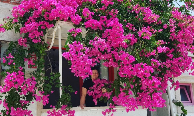 Alacati Hotel | Narcicegi Alacati