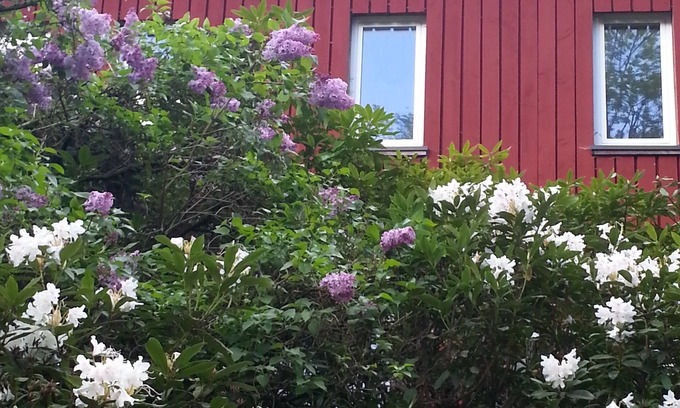 Bad Sachsa House | Natural idyll on the edge of the forest - family-friendly and quiet