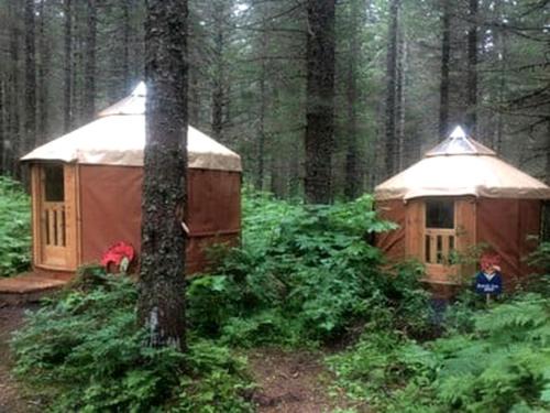 Bear Creek Other | Nature Escape in an Alaskan Glamping Village for Family Fun
