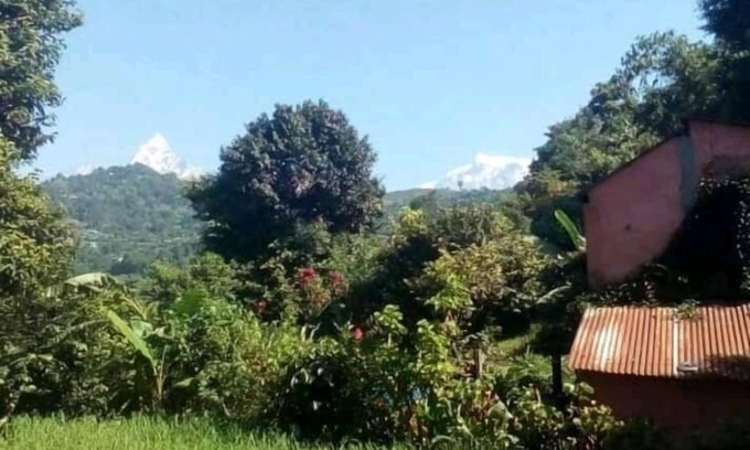 Pokhara House | Nature Side Cottage