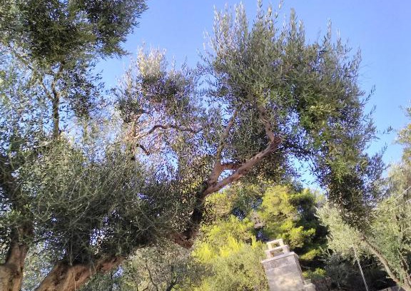Ruffano Apartment | Nel Giardino di Isabel