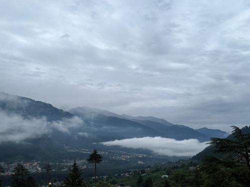 Manali Hotel | New Suraj Inn - Nestled near Hidimba Temple ! Rooftop Cafe With Hampta View ! Private Parking