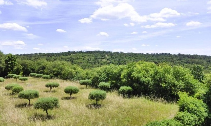Arpaillargues-et-Aureillac House | Nice holiday home with private terrace, Arpaillargues-et-Aureillac