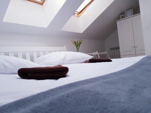 Ustrzyki Dolne House | Noclegi Przystanek Bieszczady w Centrum