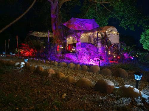Agua de Dios Other | Novaglamp Alma, amor y bosque