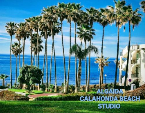 Calahonda Apartment | NUEVO! Algaida Calahonda Beach Studio
