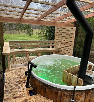 Pucon House | Oasis Tiny House & Tinaja