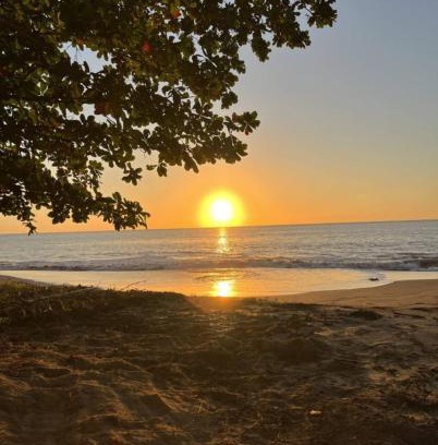 Algarrobos House | Oceanfront 5BR Oasis w Decks & Direct Beach Access