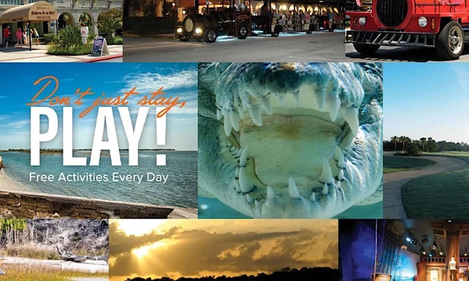 Butler Beach Apartment | Oceanview Bliss at Sea Haven Free Tix