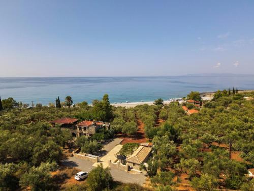 Kardamyli House | olive grove by the sea 30m from the beach
