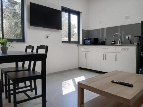Beit Hillel Apartment | Olive shade