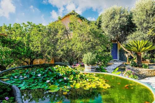 Kantanos-Selino Apartment | Olive tree Cottages