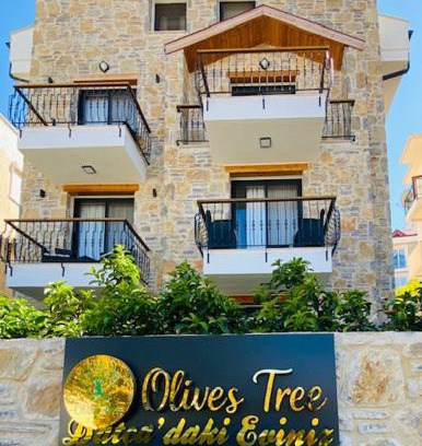 Datca City Center Bed & Breakfast | olives tree