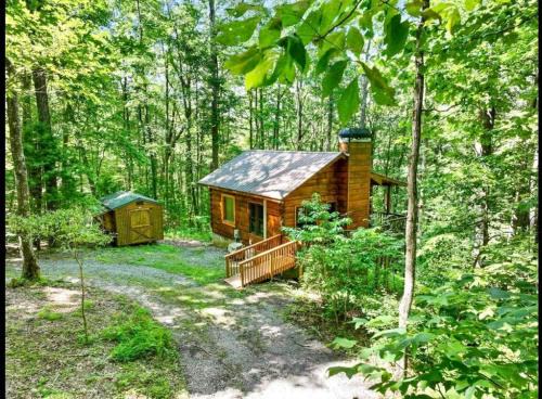 Blue Ridge House | Open Studio Lodge at Little Rock Creek
