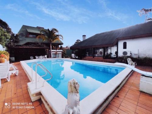 Punta del Este Hotel | Palmeras del Verdun