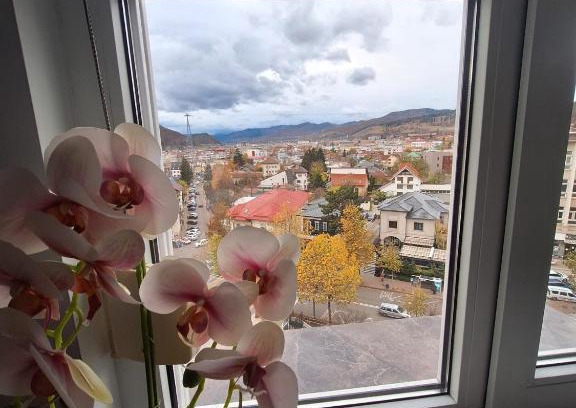 Piatra Neamt Apartment | Panoramic Central Apartment