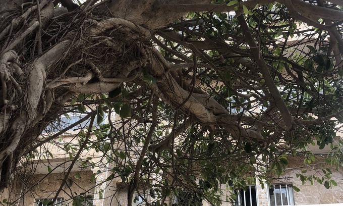 Dakar Apartment | Parcelles Assainies